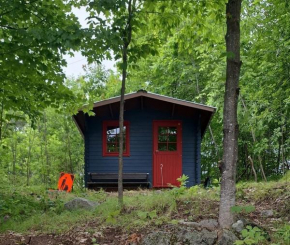 Shelley's Bay Bunkie #2